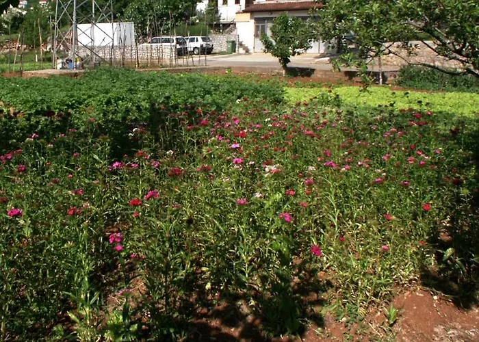 And With Parking Space Icici, Opatija - 2315 * Ičići